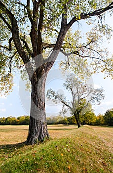 Hopewell Culture National Historical Park