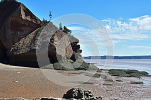 Hopewell Rock sea stack at low tide.