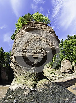 Hopewell Rocks photo