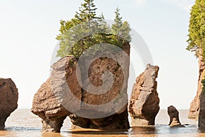 Hopewell rocks at high tide