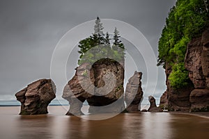 Hopewell Rocks photo