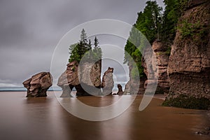 Hopewell Rocks