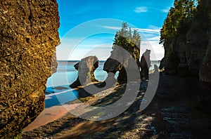 Hopewell Rocks at Low Tide