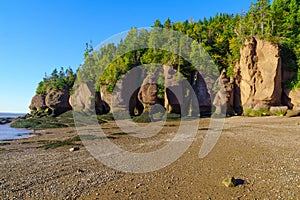 Hopewell Rocks at low tide