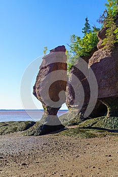 Hopewell Rocks at low tide