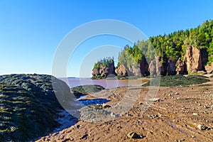 Hopewell Rocks at low tide