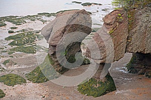 Hopewell Rocks in low tide, New Brunswick, Canada