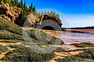 Hopewell Rocks Park, New Brunswick, Canada.