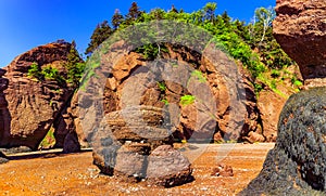 Hopewell Rocks Park, New Brunswick, Canada.