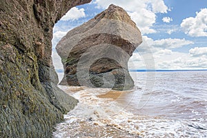 Hopewell Rocks Seaside Flower Pot