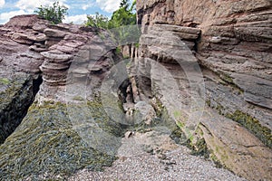 Hopewell Rocks Trail, Pathway