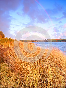 Hopkins River Warrnambool Australia