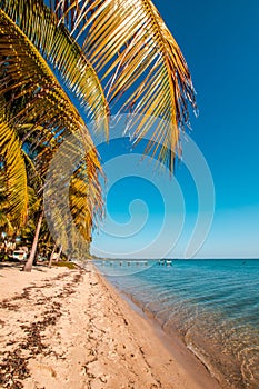 Hopkins Village, Stann Creek, Belize