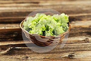 Hops in basket on brown wooden background.