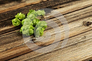 Hops on brown wooden background