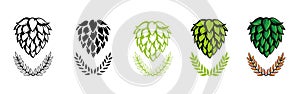 Hops vector visual graphic icons