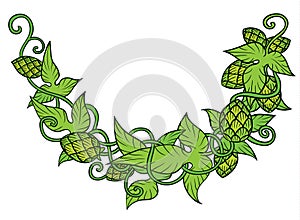 Hops vector visual graphic vignette