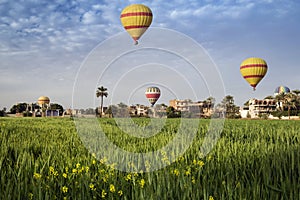 Hor air balloons raising up over the little villages and green fields