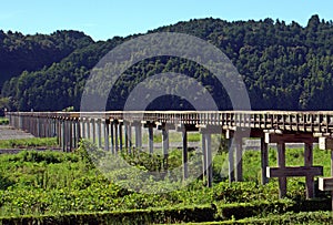 Horai Bridge, Japan\'s longest wooden pedestrian bridge over Oigawa River