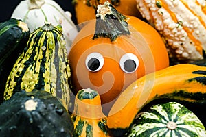 Horde of gourds