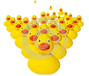 Horde of rubber duckies