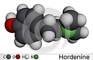 Hordenine, dimethyltyramine class, molecule. It is phenethylamine alkaloid, natural product. Molecular model. 3D rendering