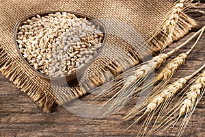 Hordeum vulgare - Dried pearl barley in a wooden bowl