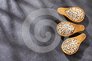 Hordeum vulgare - Pearl barley in three wooden spoons