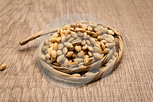 Barley cereal grain. Paper rope around grain. Selective focus. photo