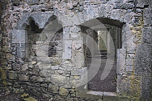 Hore Abbey in Cashel