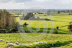 Hore Abbey in Cashel