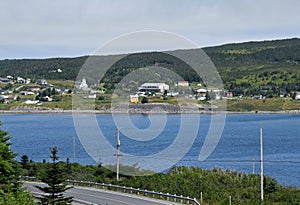 Horeline near Renews, NL Canada