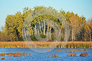 Horicon Marsh