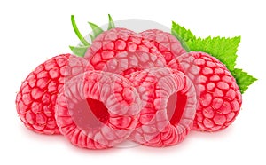 Horisontal composition with juicy garden raspberries with leaves isolated on white background.