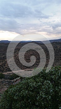 Horizon with fields and mountains 36