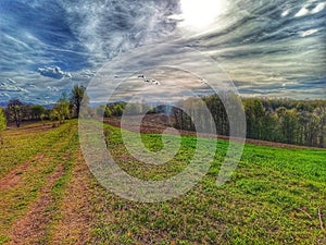 Horizon. Meadow. Background. Landskape. Agriculture.