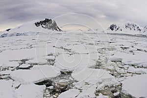 Horizon of pack ice along coastline of Antarctic Peninsula