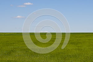 The horizon, the sky and the wheat field.