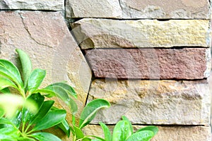 Horizons of bricks stone wall surface, Modern brick wall for pattern and background