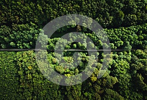 Horizontal aerial photo by drone top view of amazing green forest with straight road way. Colorful and saturated image of path