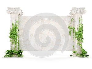 Horizontal antiquity billboard covered with ivy