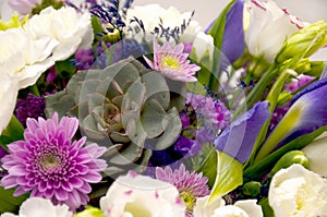 Horizontal background from a close-up of a spring bouquet of flowers in lilac and purple colors