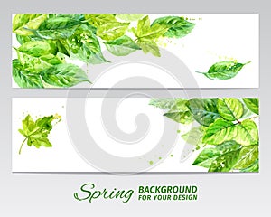 Horizontal background with green leaves and blots of paint. watercolor vector