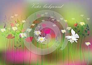 Horizontal background wild flowers and butterflies.vector illustration