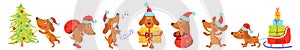 Horizontal banner with Christmas dogs