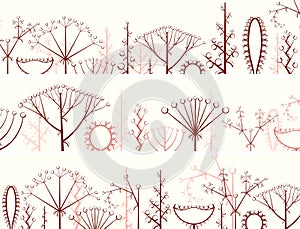 Horizontal banner of different types of inflorescence. photo