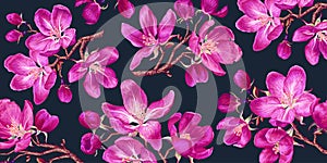 Horizontal banner, floral background with branches of pink blooming apple trees, sakura trees.