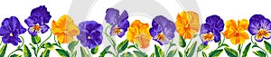 Horizontal banner, floral background decorated with gorgeous blue with yellow and purple blooming flowers of Pansies, Viola