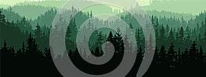 Horizontal banner of forest background, silhouettes of trees. Magical misty landscape, fog.