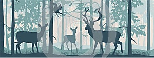 Horizontal banner of forest landscape. Deer with doe and fawn in magic misty forest. Squirrel on branch. Silhouettes of trees and